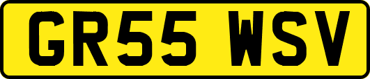 GR55WSV