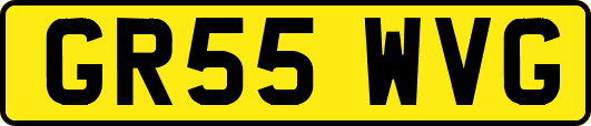 GR55WVG