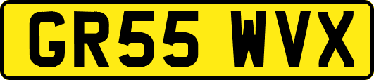 GR55WVX