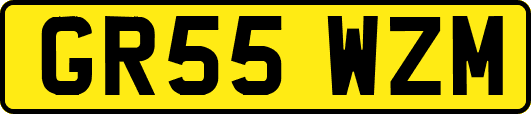 GR55WZM