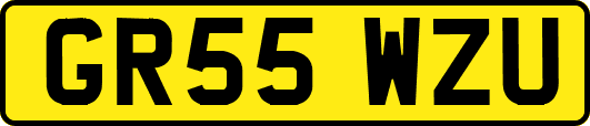 GR55WZU