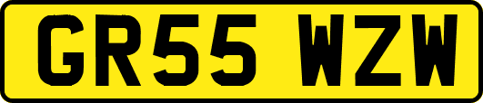 GR55WZW