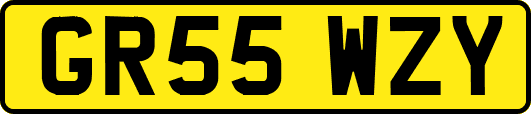 GR55WZY