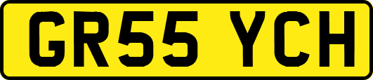 GR55YCH