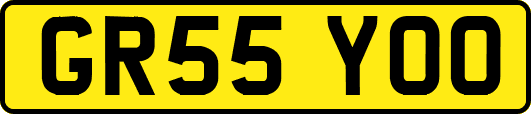GR55YOO