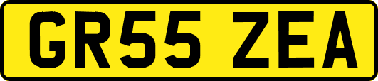 GR55ZEA
