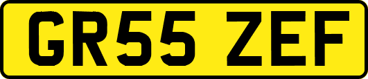 GR55ZEF