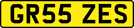 GR55ZES