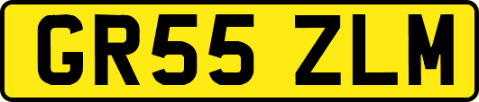GR55ZLM
