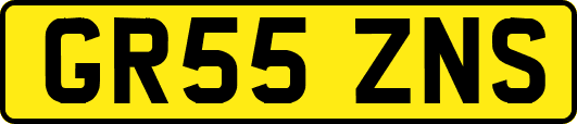 GR55ZNS