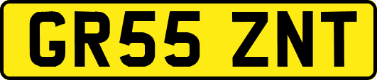 GR55ZNT