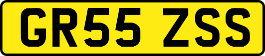 GR55ZSS