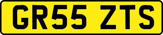 GR55ZTS