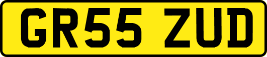GR55ZUD