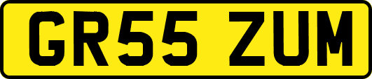 GR55ZUM