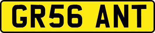 GR56ANT