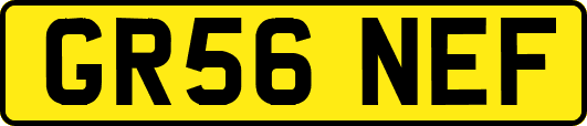 GR56NEF