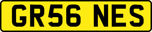 GR56NES