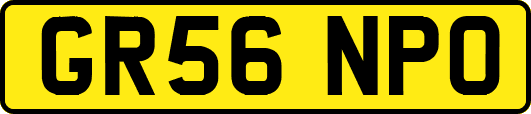 GR56NPO