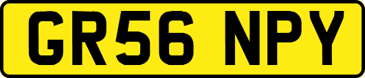 GR56NPY