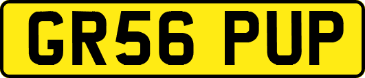 GR56PUP