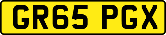 GR65PGX