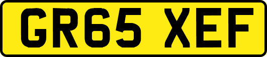 GR65XEF