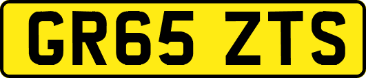GR65ZTS