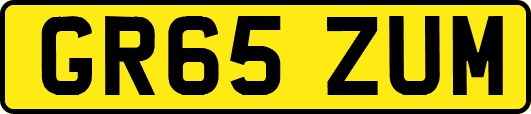GR65ZUM