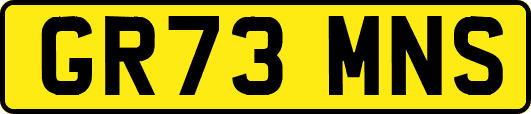 GR73MNS