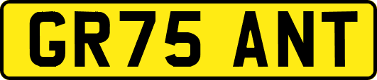 GR75ANT
