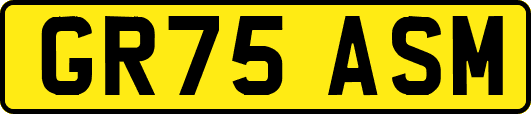 GR75ASM