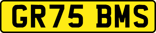 GR75BMS