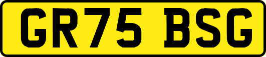 GR75BSG