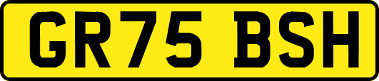 GR75BSH
