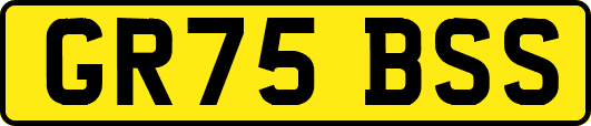 GR75BSS