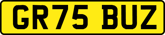 GR75BUZ