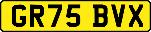 GR75BVX