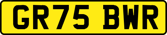 GR75BWR