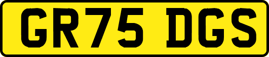 GR75DGS