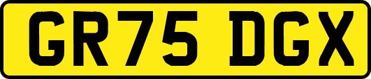 GR75DGX