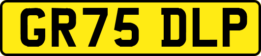 GR75DLP