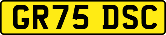 GR75DSC