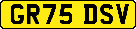 GR75DSV