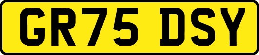 GR75DSY
