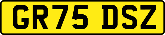 GR75DSZ