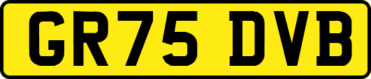 GR75DVB