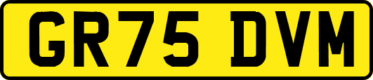GR75DVM