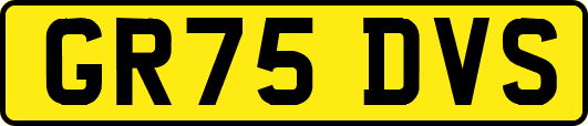 GR75DVS