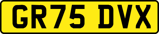 GR75DVX